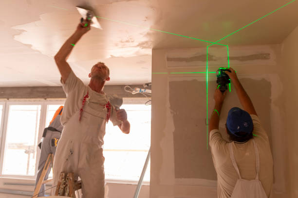 Best Drywall Installation  in Bawcomville, LA