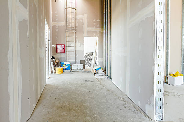 Professional Dry wall and painting in Bawcomville, LA